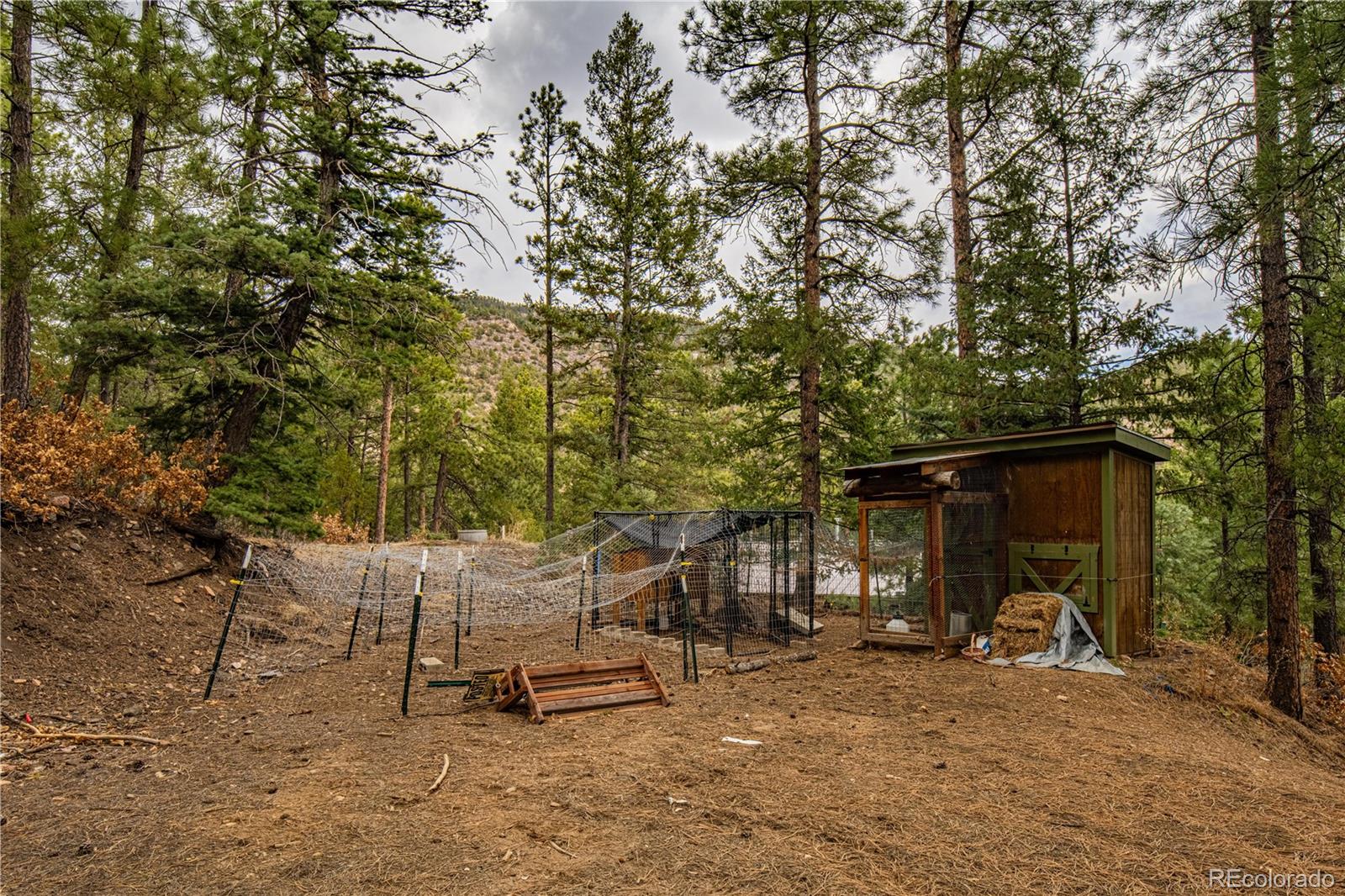MLS Image #36 for 20558  state highway 96 ,wetmore, Colorado