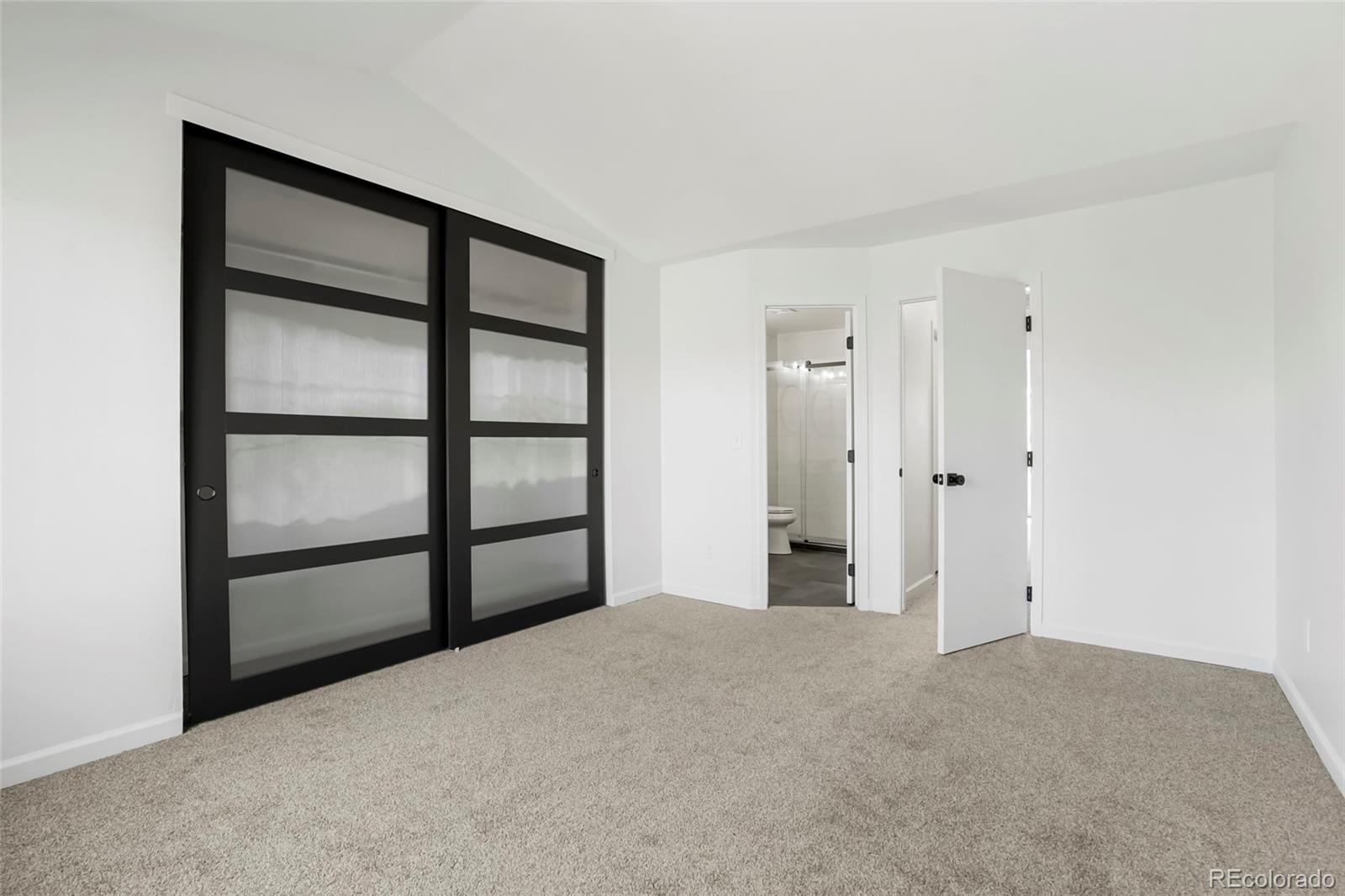 MLS Image #14 for 8129 s fillmore circle,centennial, Colorado
