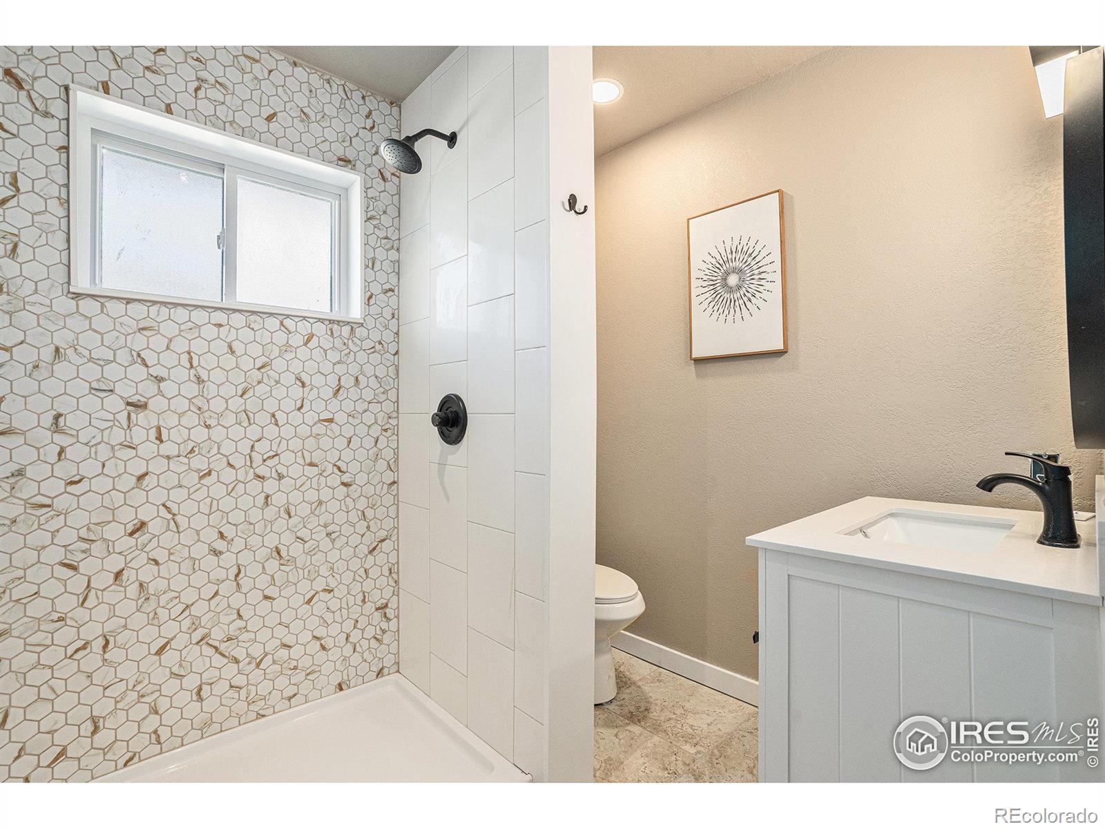MLS Image #12 for 191  emerald street,broomfield, Colorado