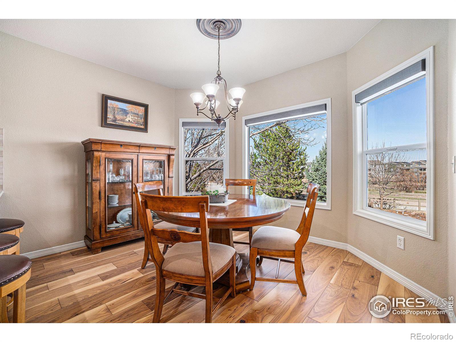 MLS Image #10 for 5950  snowy plover court,fort collins, Colorado