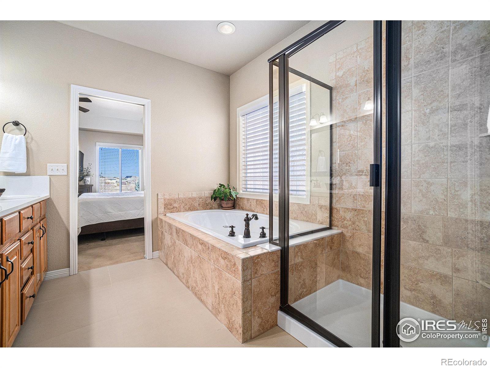 MLS Image #18 for 5950  snowy plover court,fort collins, Colorado