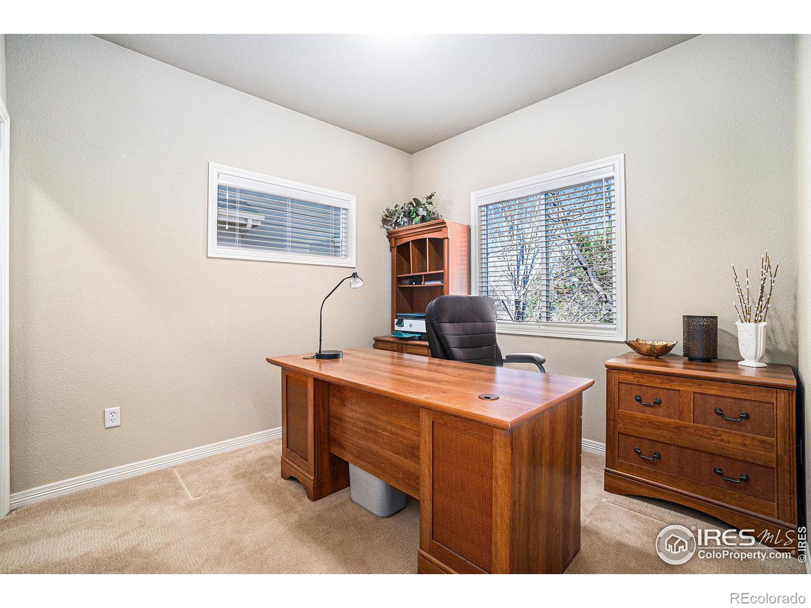 MLS Image #19 for 5950  snowy plover court,fort collins, Colorado