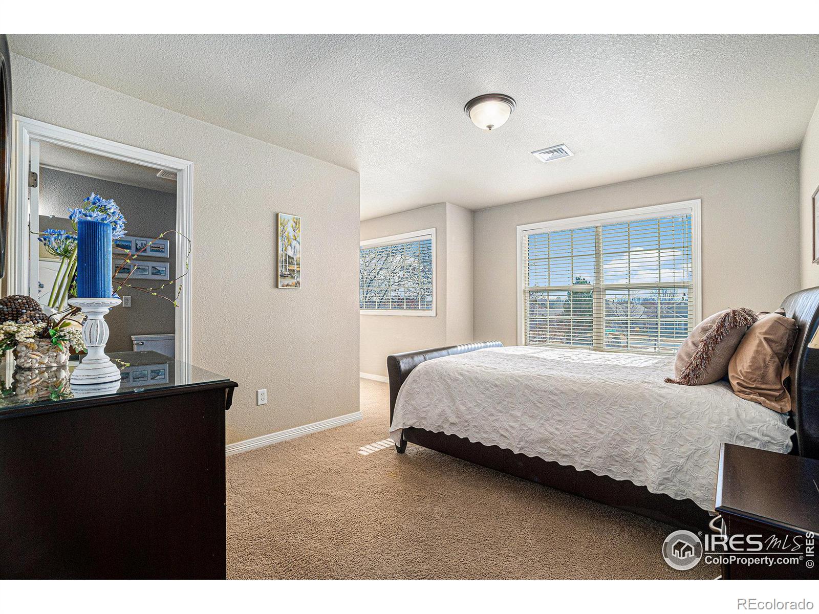 MLS Image #23 for 5950  snowy plover court,fort collins, Colorado