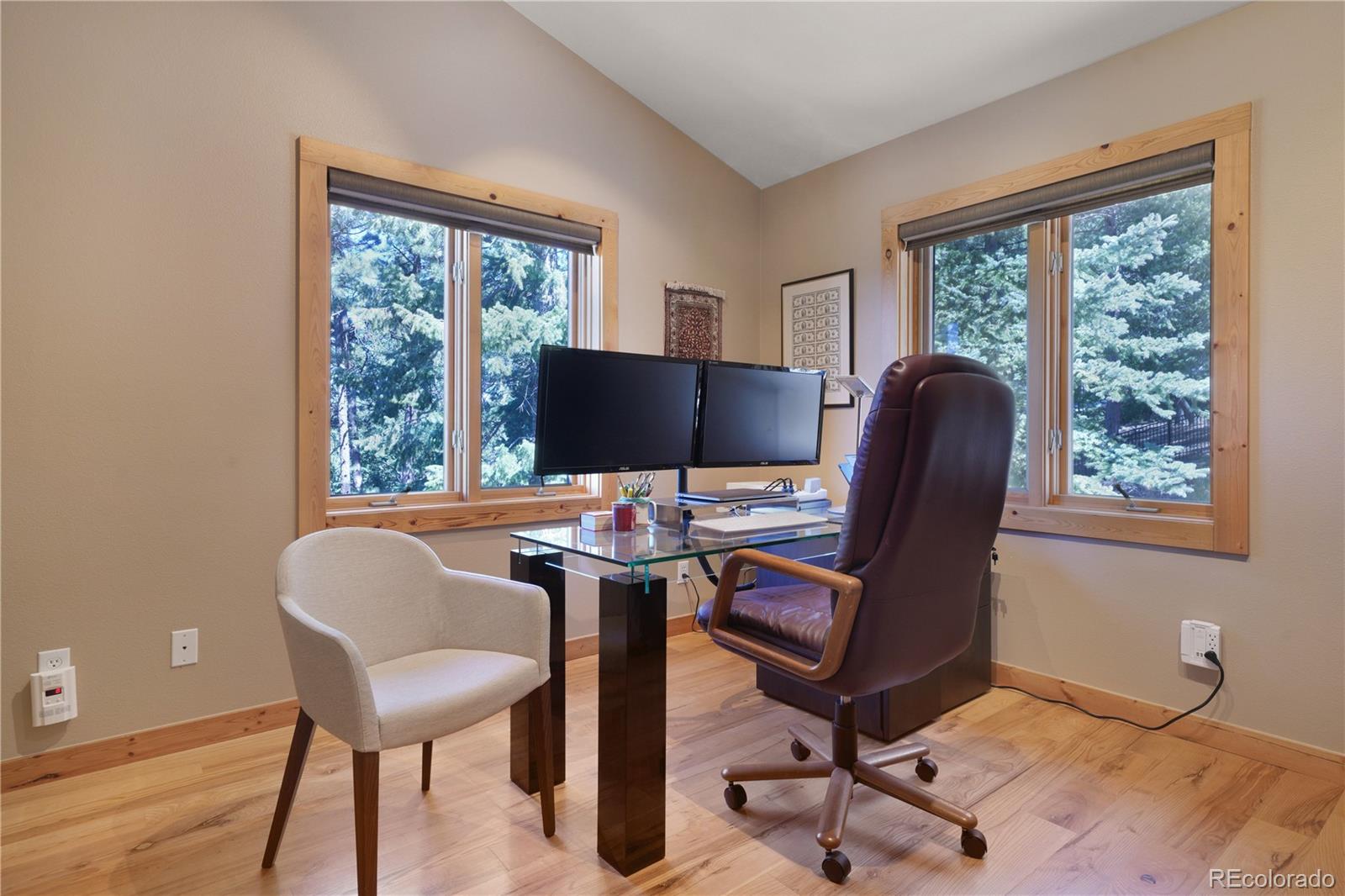 MLS Image #22 for 25952  fern gulch road,evergreen, Colorado