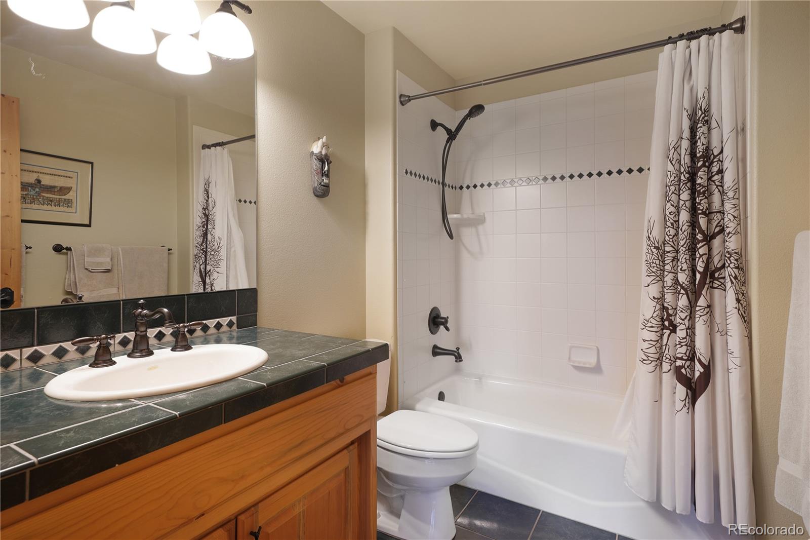 MLS Image #26 for 25952  fern gulch road,evergreen, Colorado