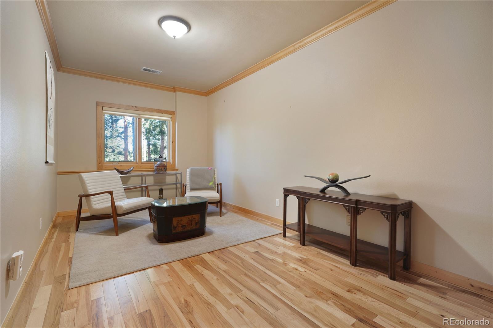 MLS Image #27 for 25952  fern gulch road,evergreen, Colorado