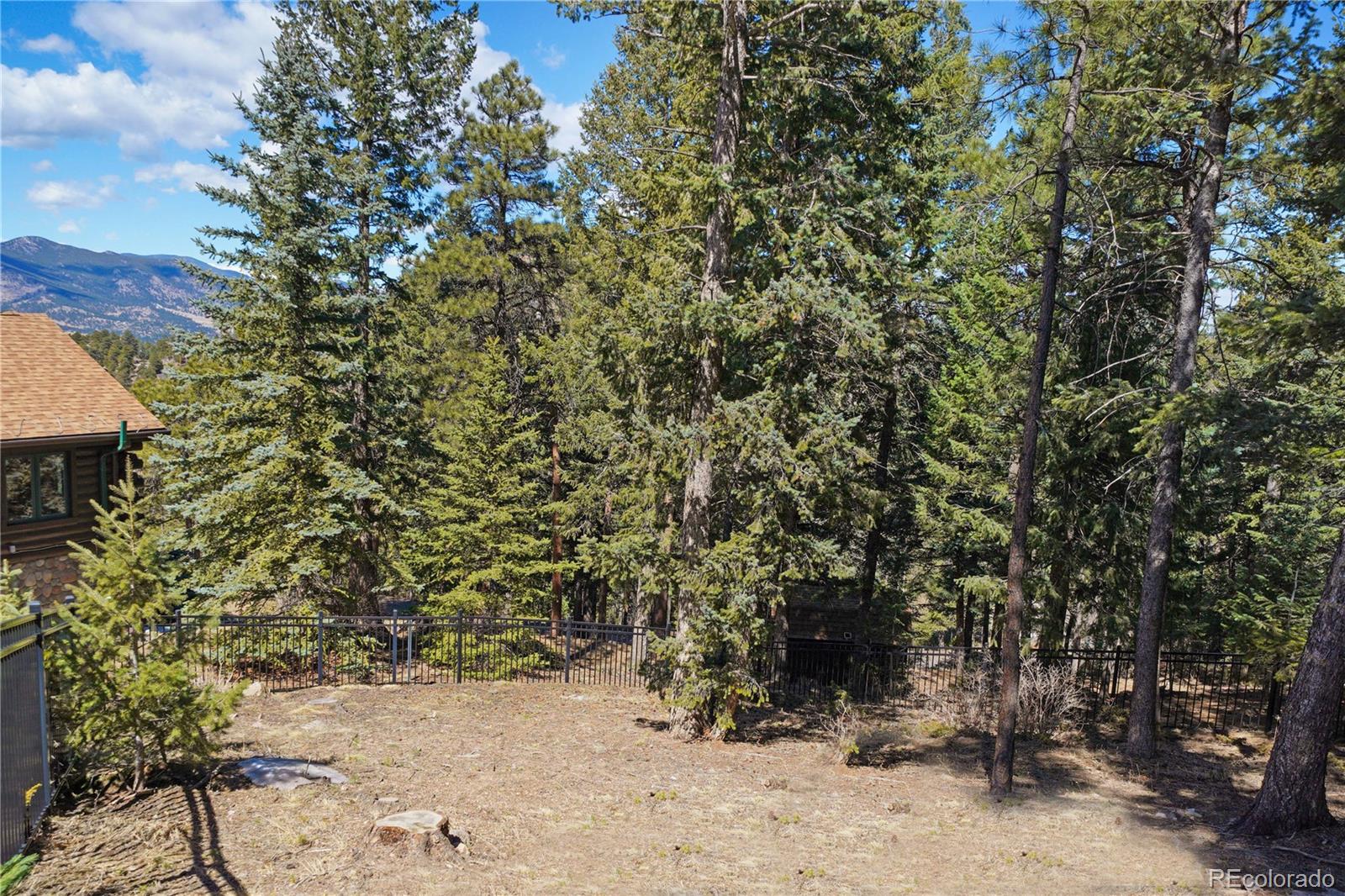 MLS Image #31 for 25952  fern gulch road,evergreen, Colorado