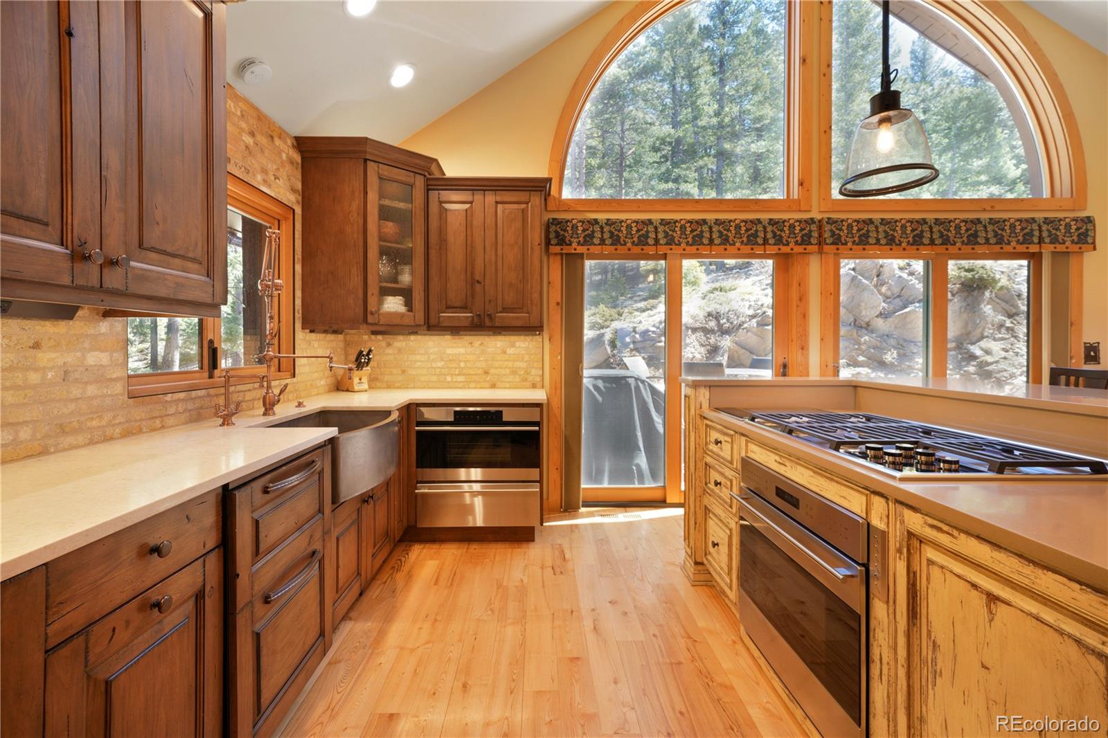 MLS Image #9 for 25952  fern gulch road,evergreen, Colorado