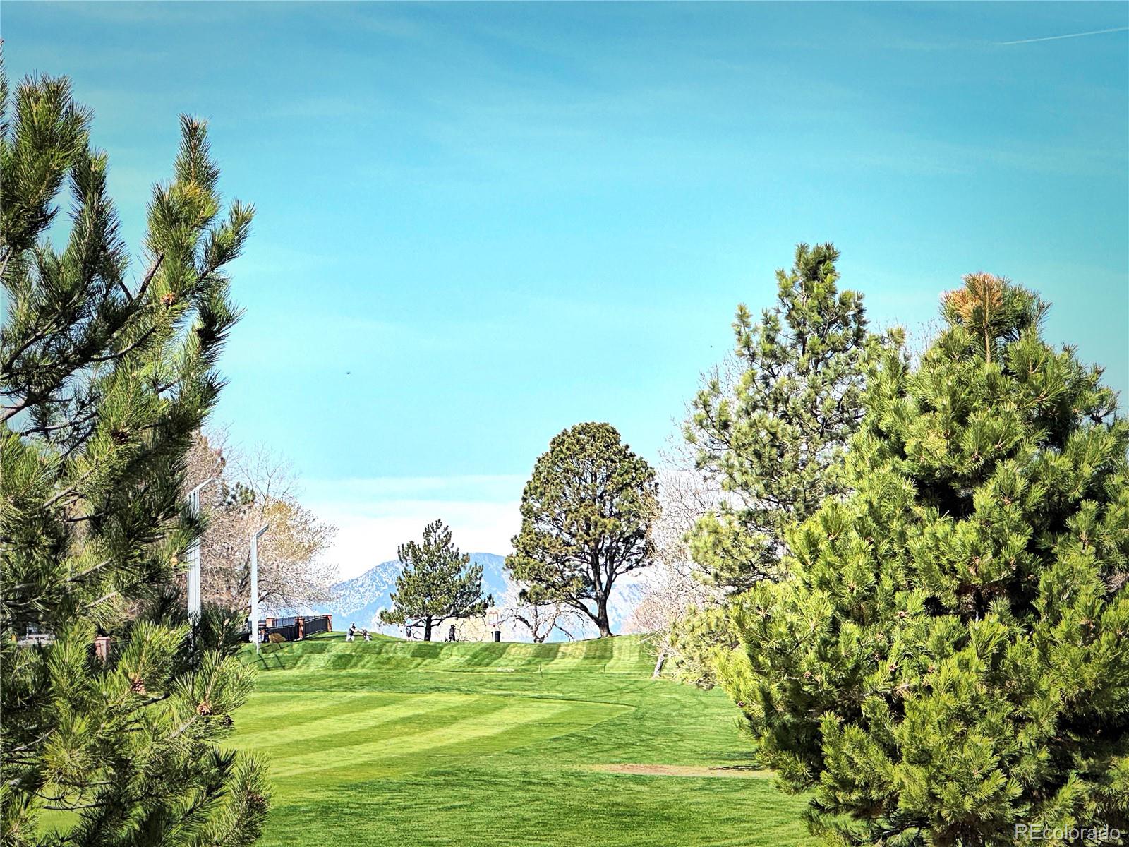 MLS Image #14 for 8403  chase drive,arvada, Colorado