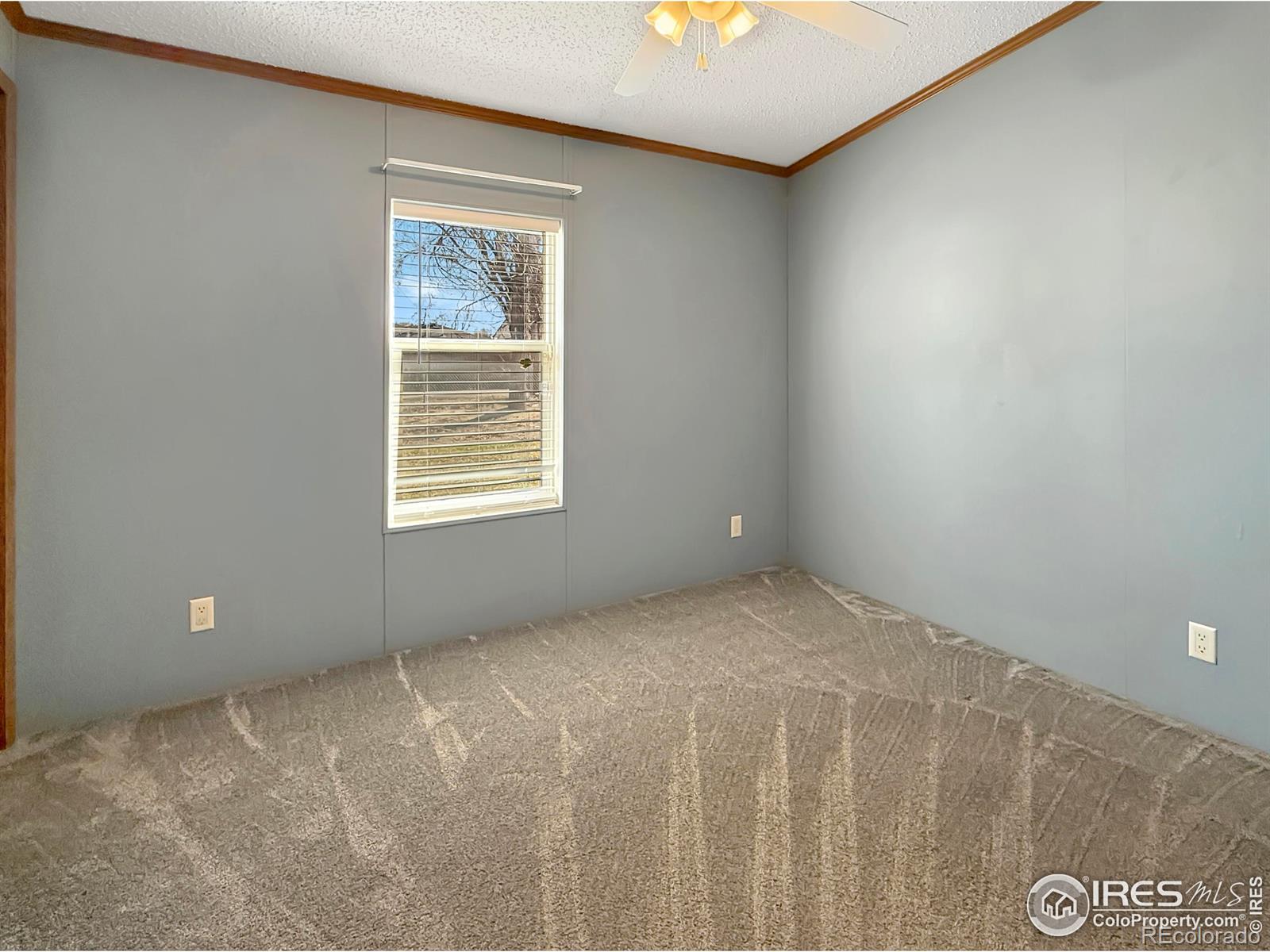MLS Image #12 for 611  beattie street,sterling, Colorado
