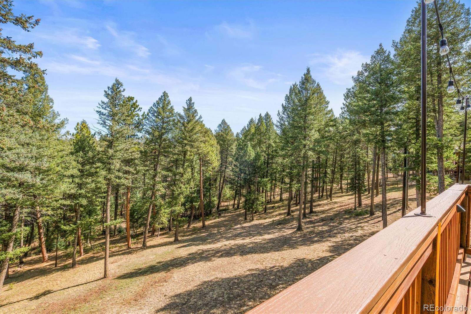 MLS Image #17 for 20957  horse bit way,morrison, Colorado