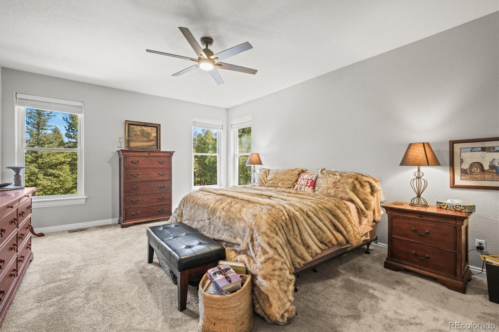 MLS Image #21 for 20957  horse bit way,morrison, Colorado