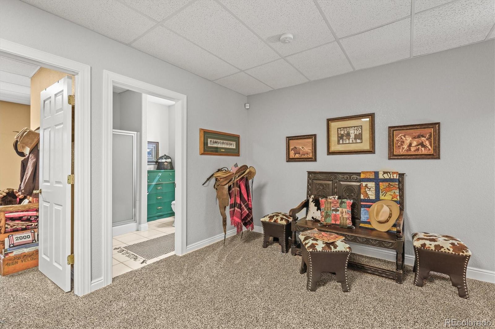 MLS Image #39 for 20957  horse bit way,morrison, Colorado