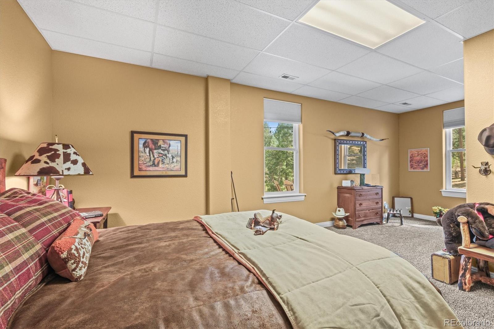 MLS Image #41 for 20957  horse bit way,morrison, Colorado
