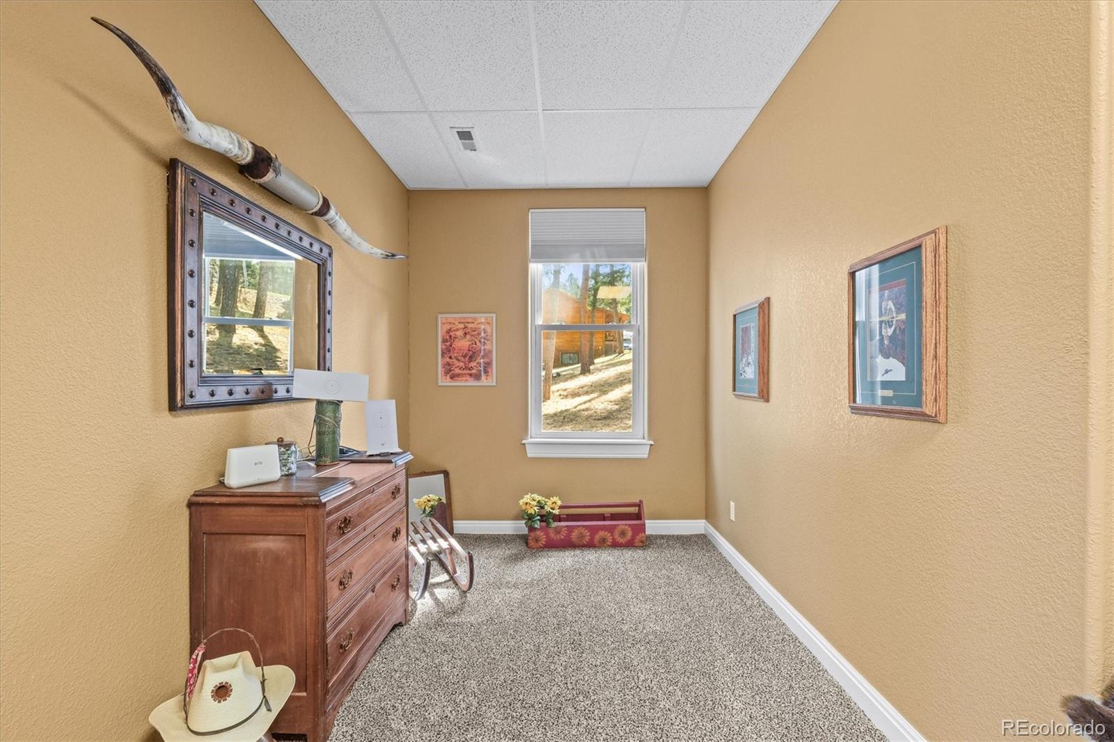 MLS Image #42 for 20957  horse bit way,morrison, Colorado