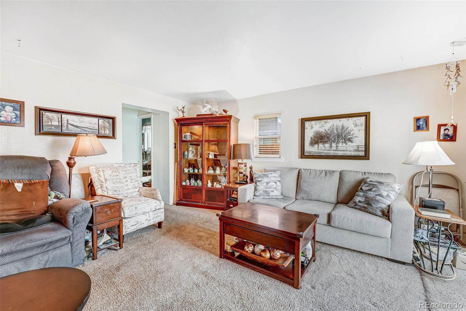 MLS Image #3 for 518  cherry street,hudson, Colorado