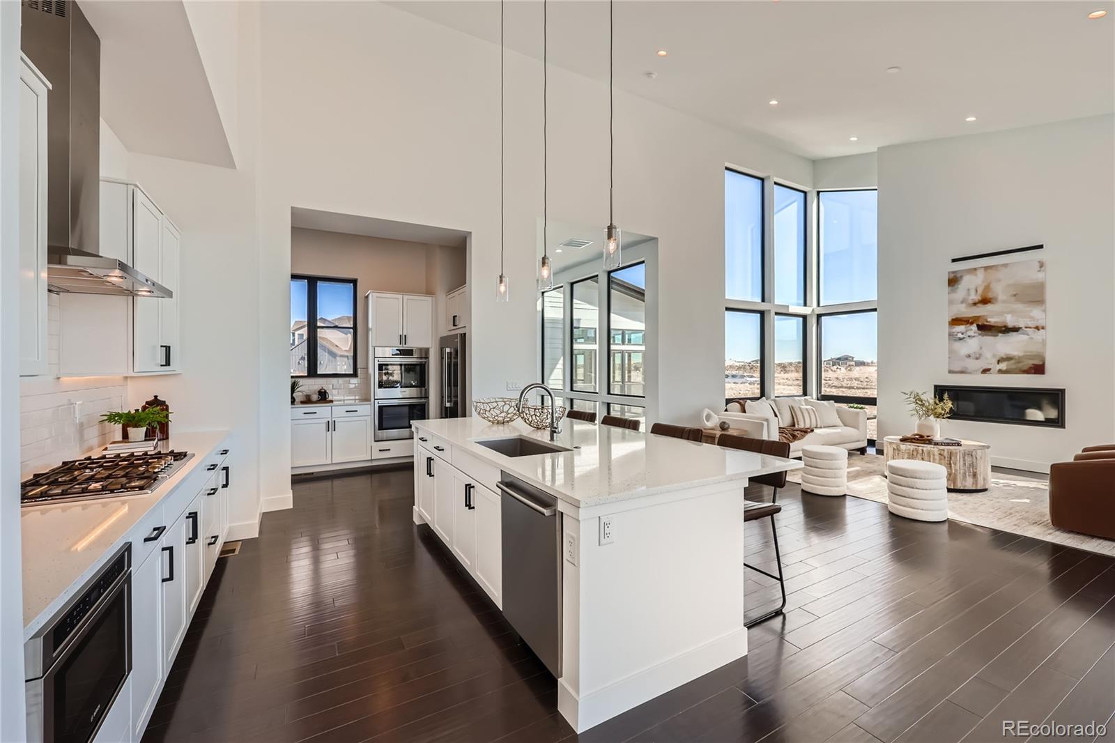MLS Image #10 for 8648  carneros court,parker, Colorado