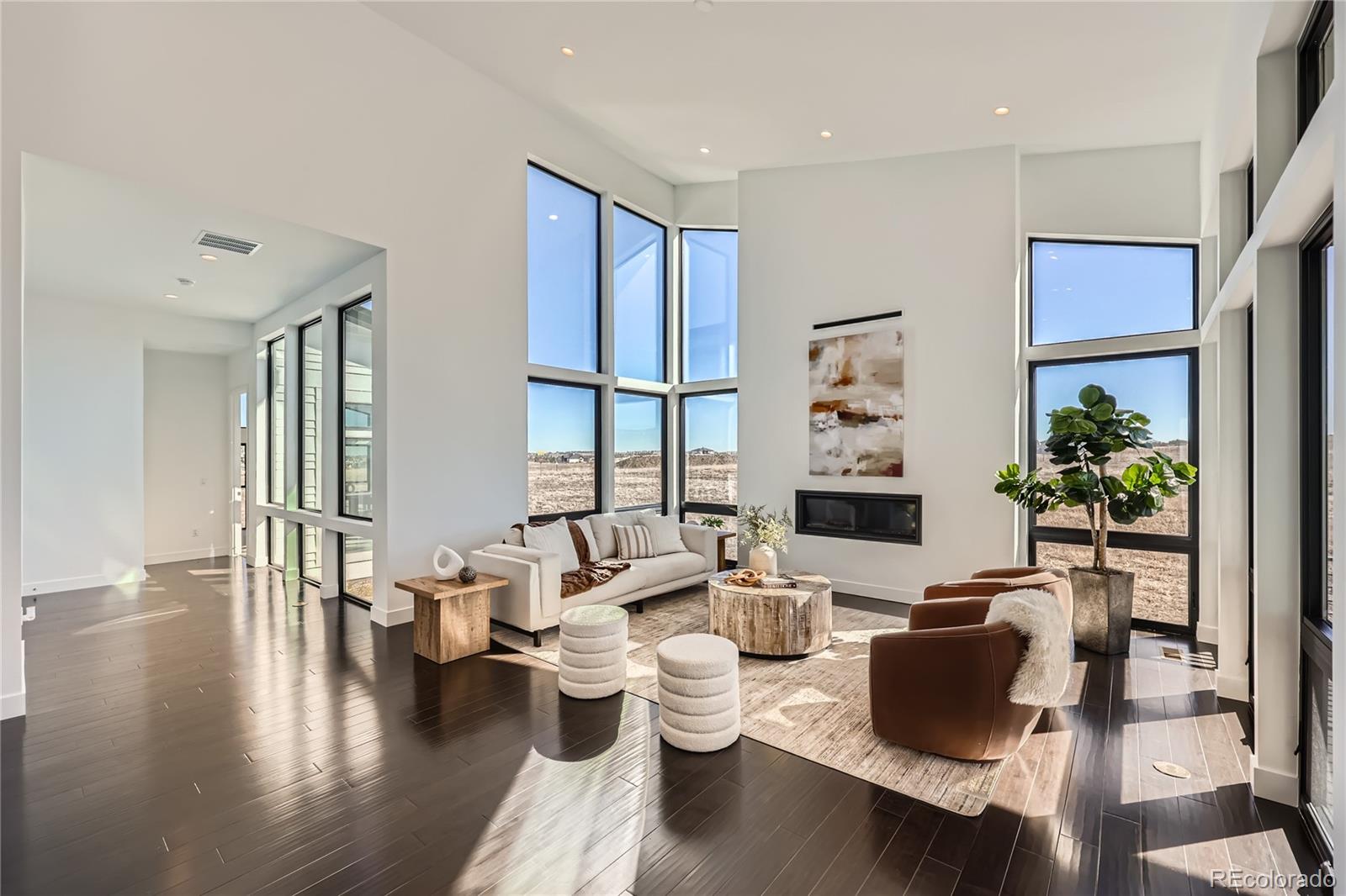 MLS Image #6 for 8648  carneros court,parker, Colorado