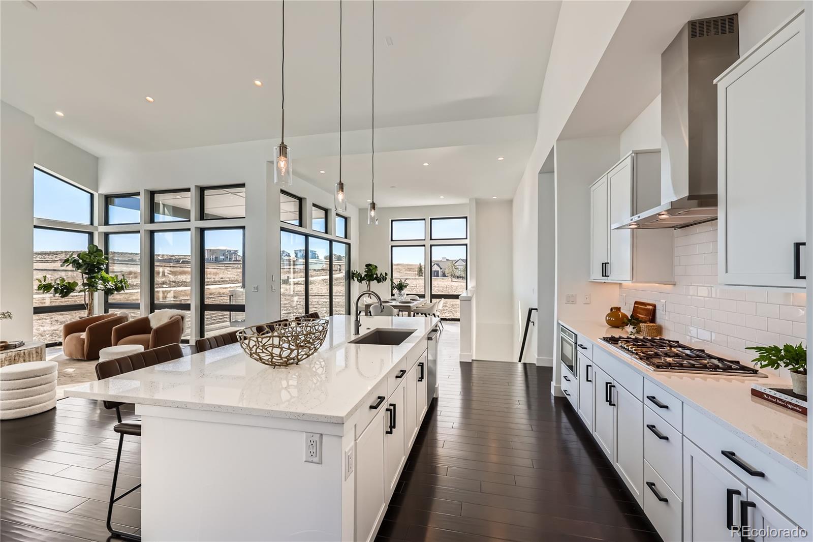 MLS Image #9 for 8648  carneros court,parker, Colorado