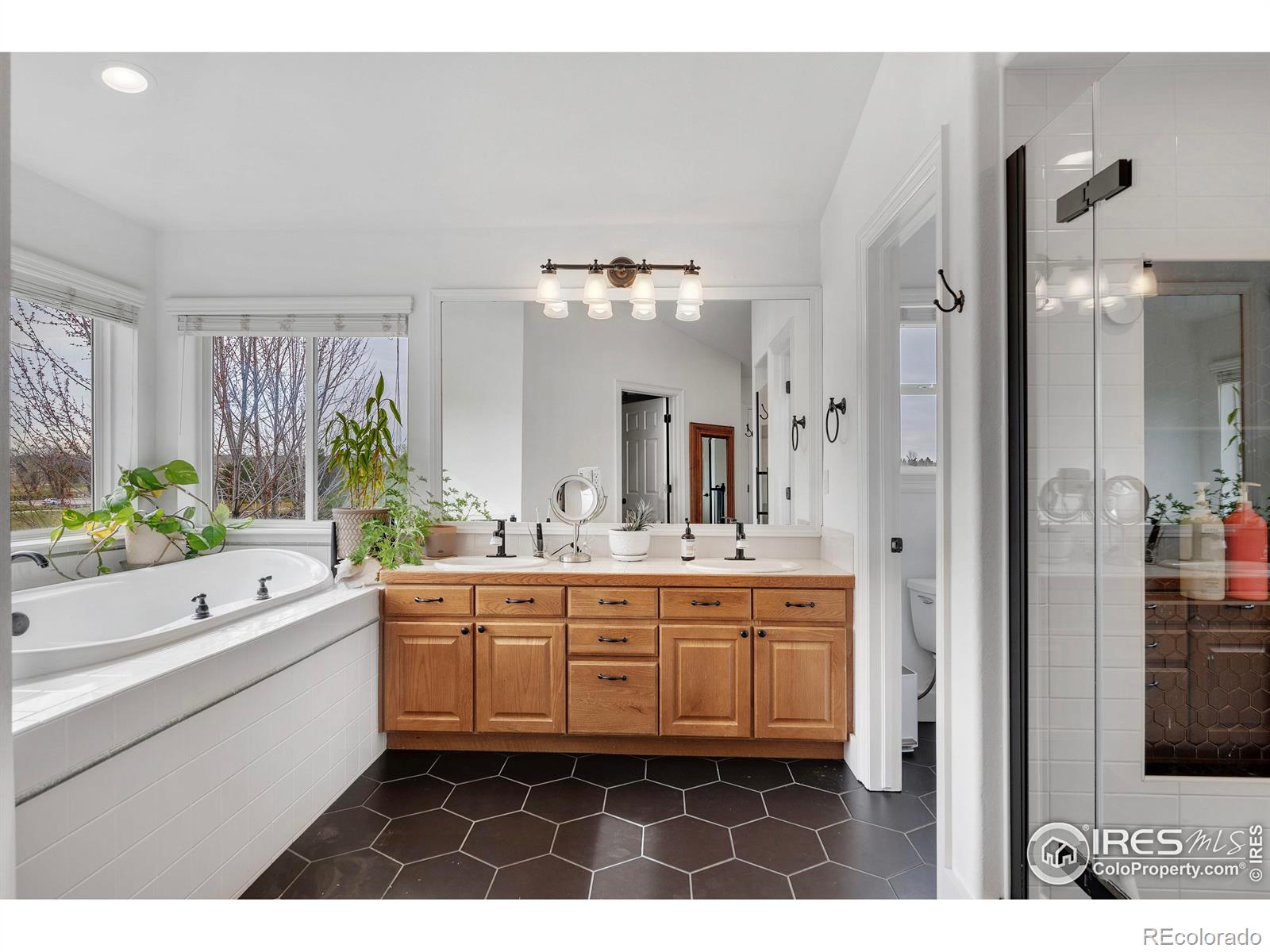 MLS Image #18 for 3058 w 111th drive,westminster, Colorado