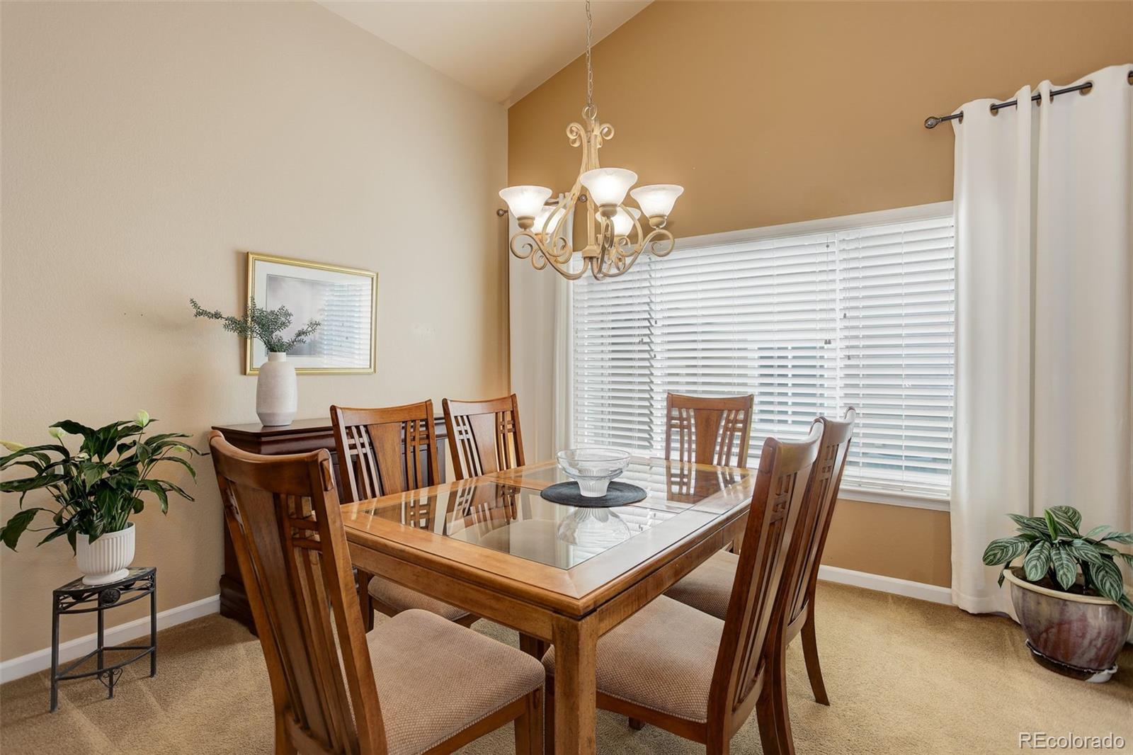 MLS Image #23 for 20715  bridlewood lane,parker, Colorado