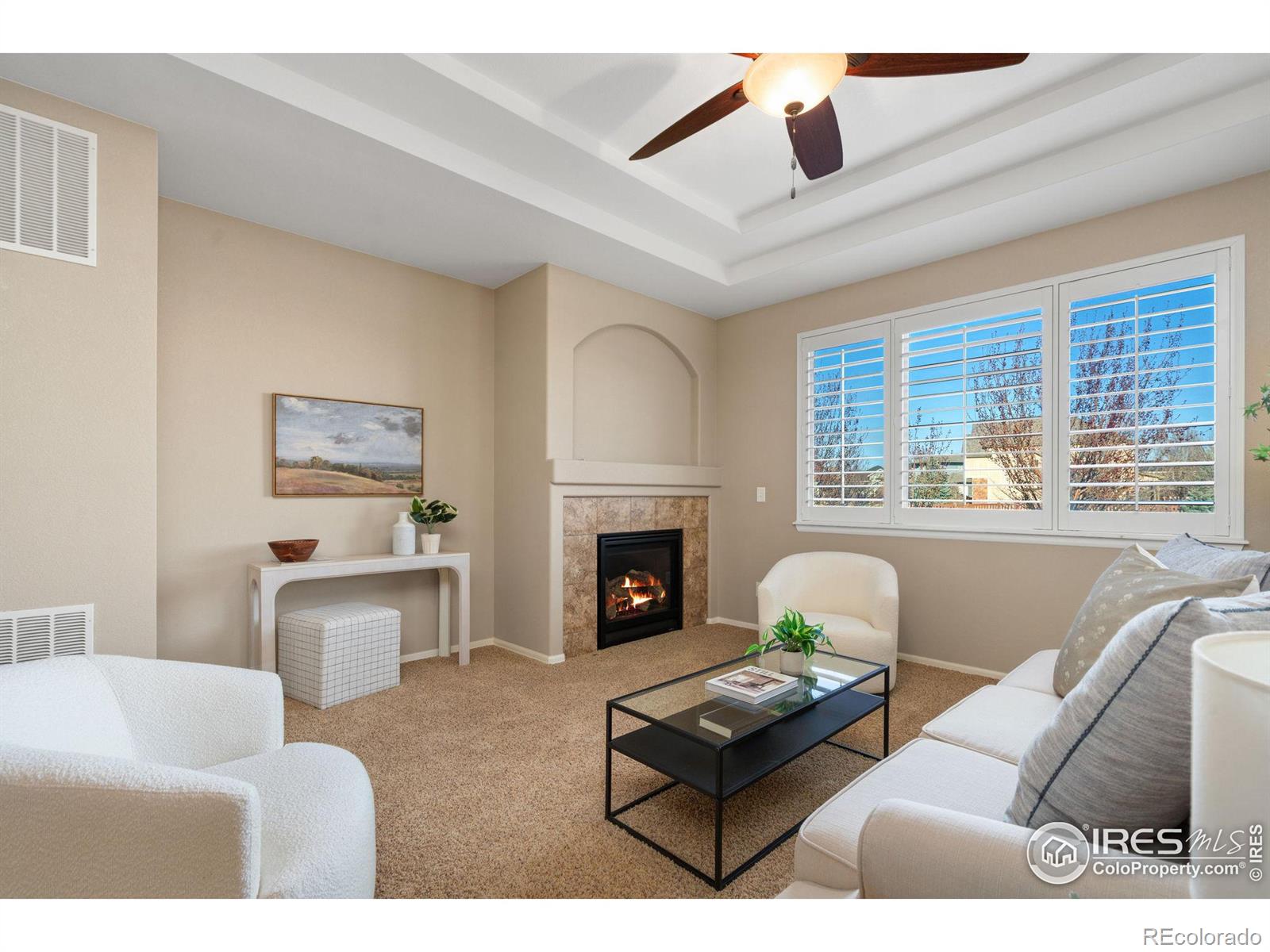 MLS Image #13 for 5852  quarry street,timnath, Colorado