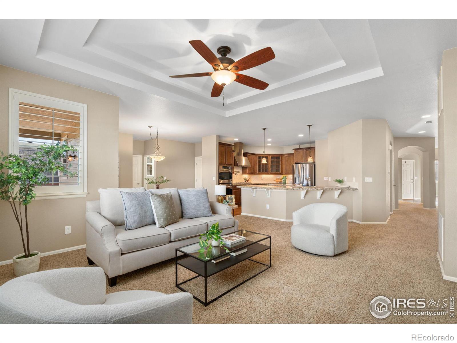 MLS Image #15 for 5852  quarry street,timnath, Colorado