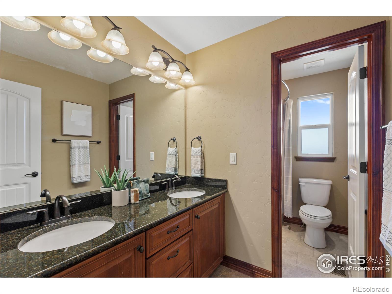 MLS Image #18 for 8555  blackwood drive,windsor, Colorado