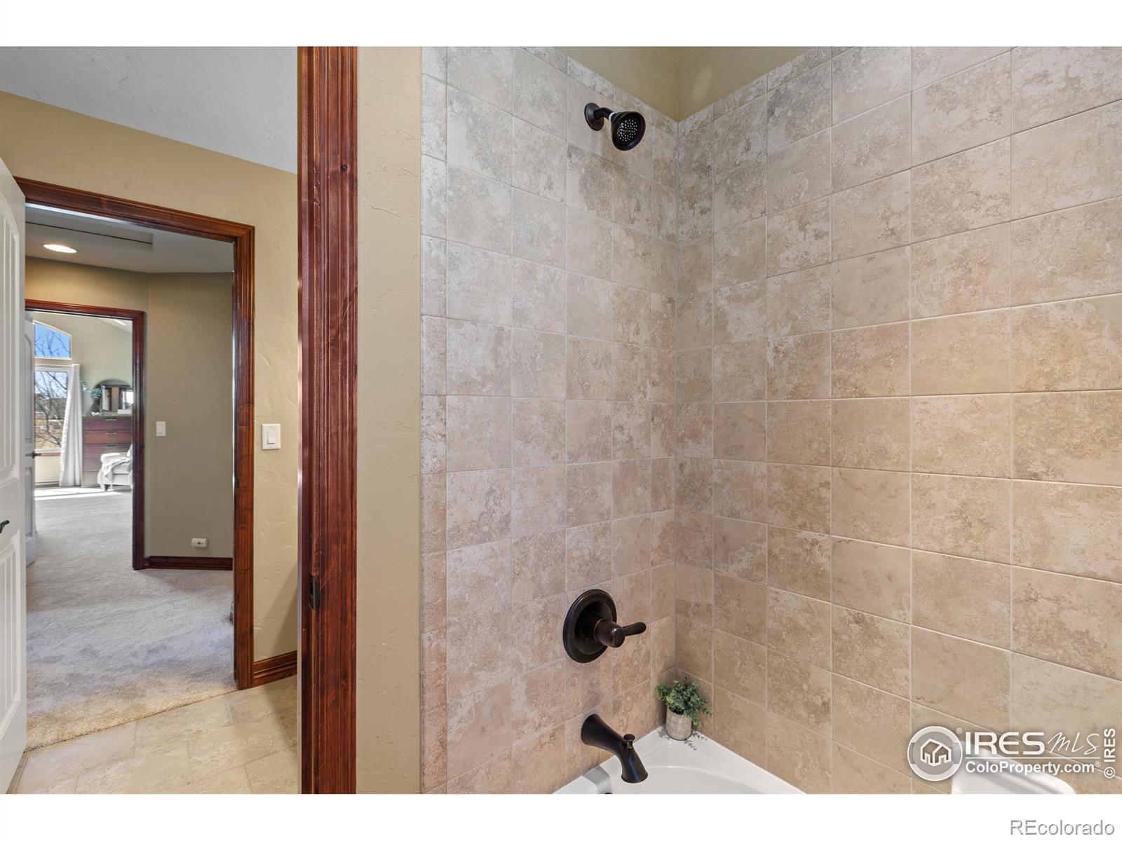 MLS Image #19 for 8555  blackwood drive,windsor, Colorado