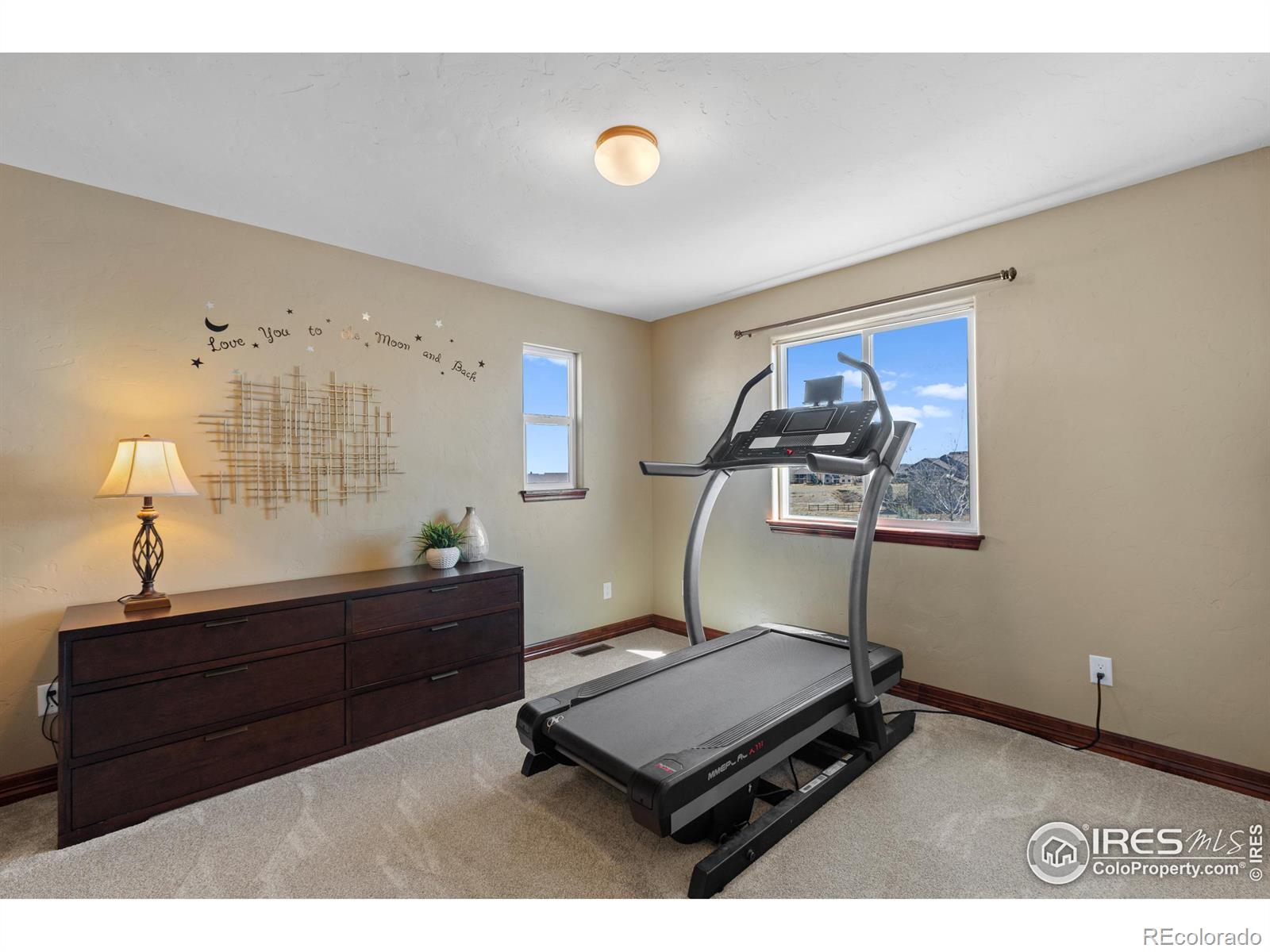MLS Image #20 for 8555  blackwood drive,windsor, Colorado