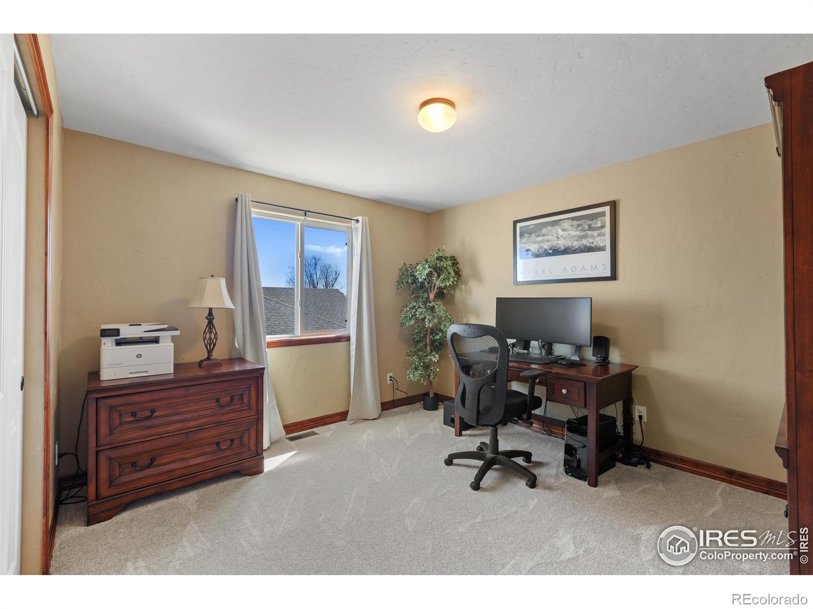MLS Image #21 for 8555  blackwood drive,windsor, Colorado