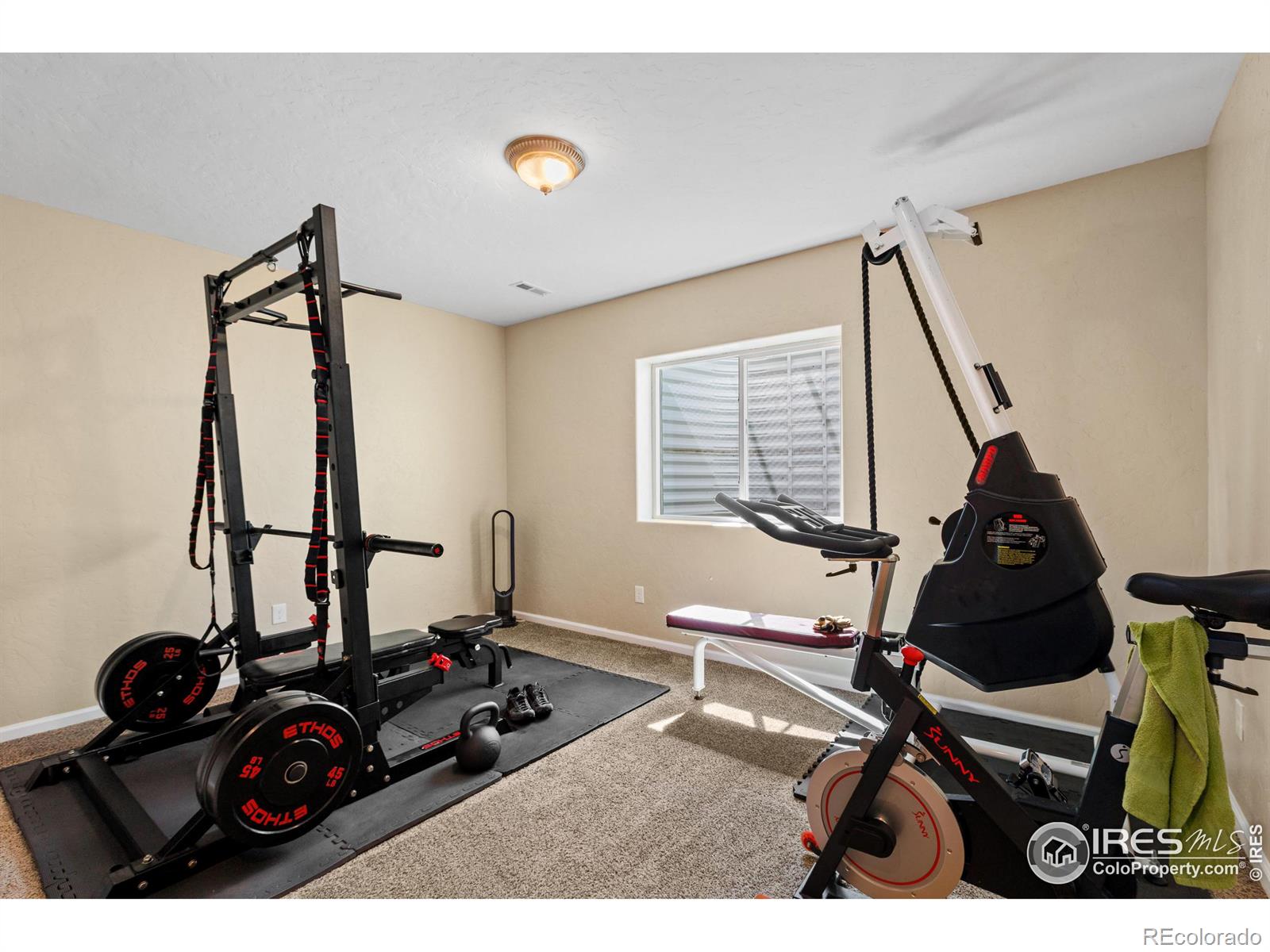 MLS Image #30 for 8555  blackwood drive,windsor, Colorado