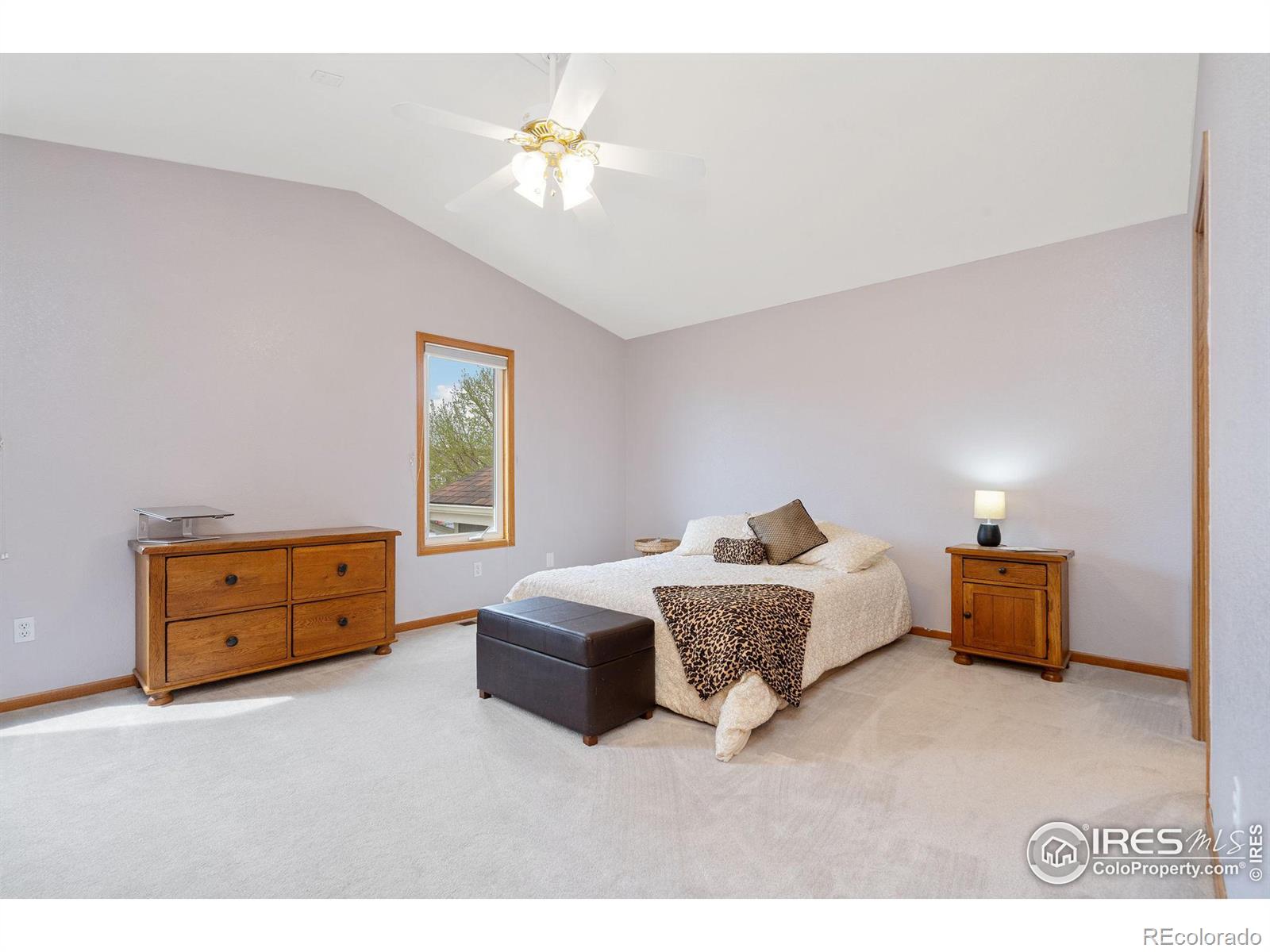 MLS Image #11 for 2390  steamboat springs street,loveland, Colorado