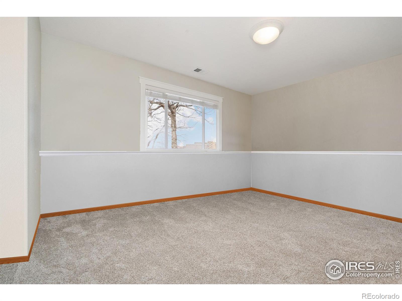 MLS Image #17 for 2390  steamboat springs street,loveland, Colorado
