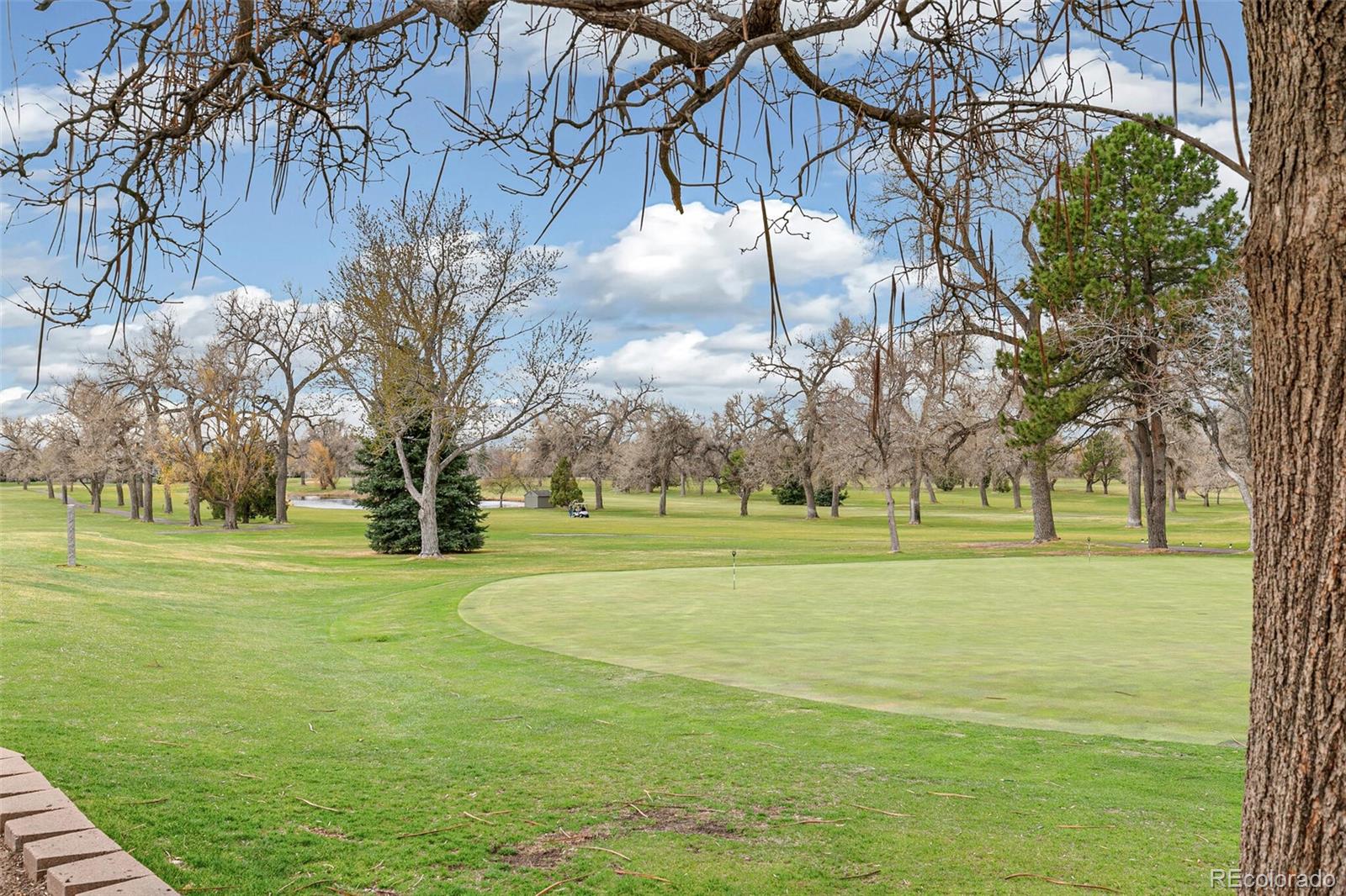 MLS Image #39 for 4003 s carson street a,aurora, Colorado