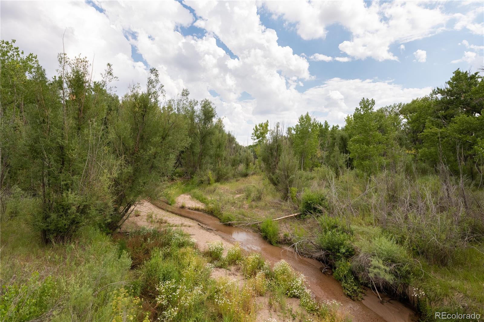 MLS Image #44 for 7794  louviers boulevard,louviers, Colorado