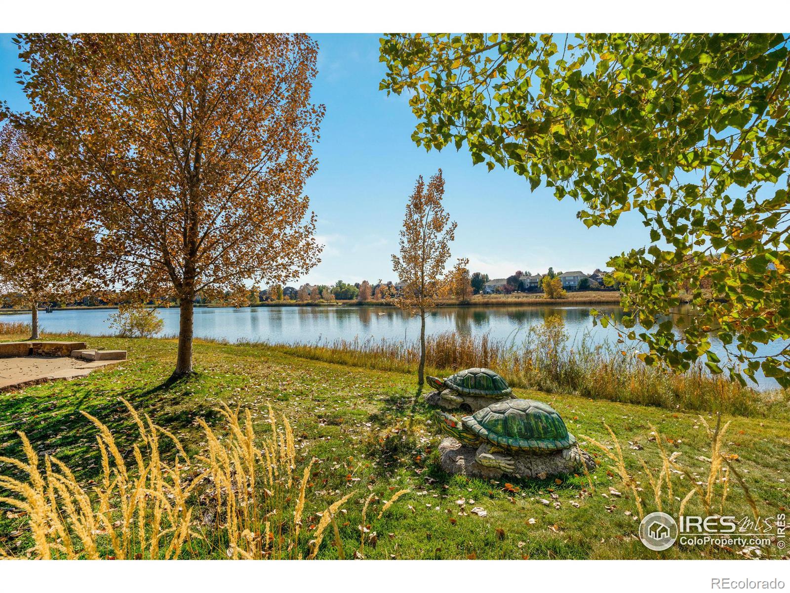 MLS Image #28 for 6814  colony hills lane,fort collins, Colorado