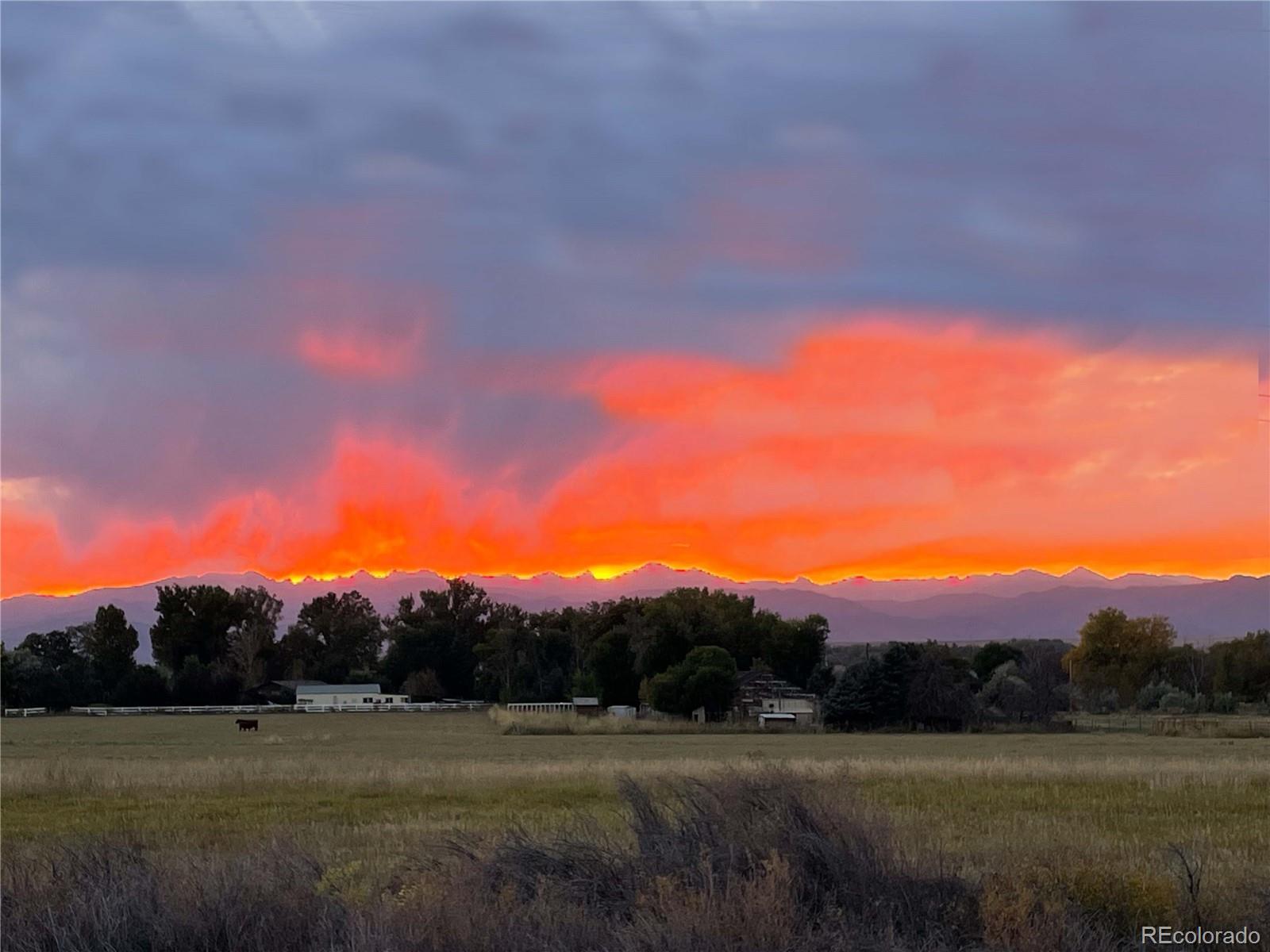MLS Image #36 for 1234  banner circle,erie, Colorado