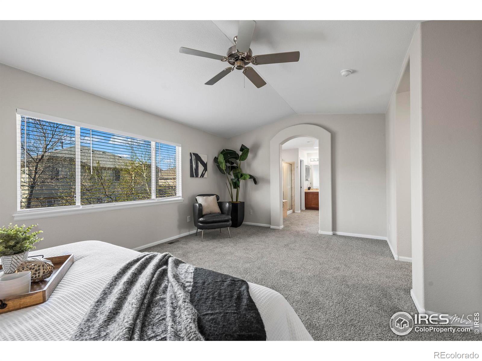 MLS Image #14 for 2336  dogwood circle,erie, Colorado
