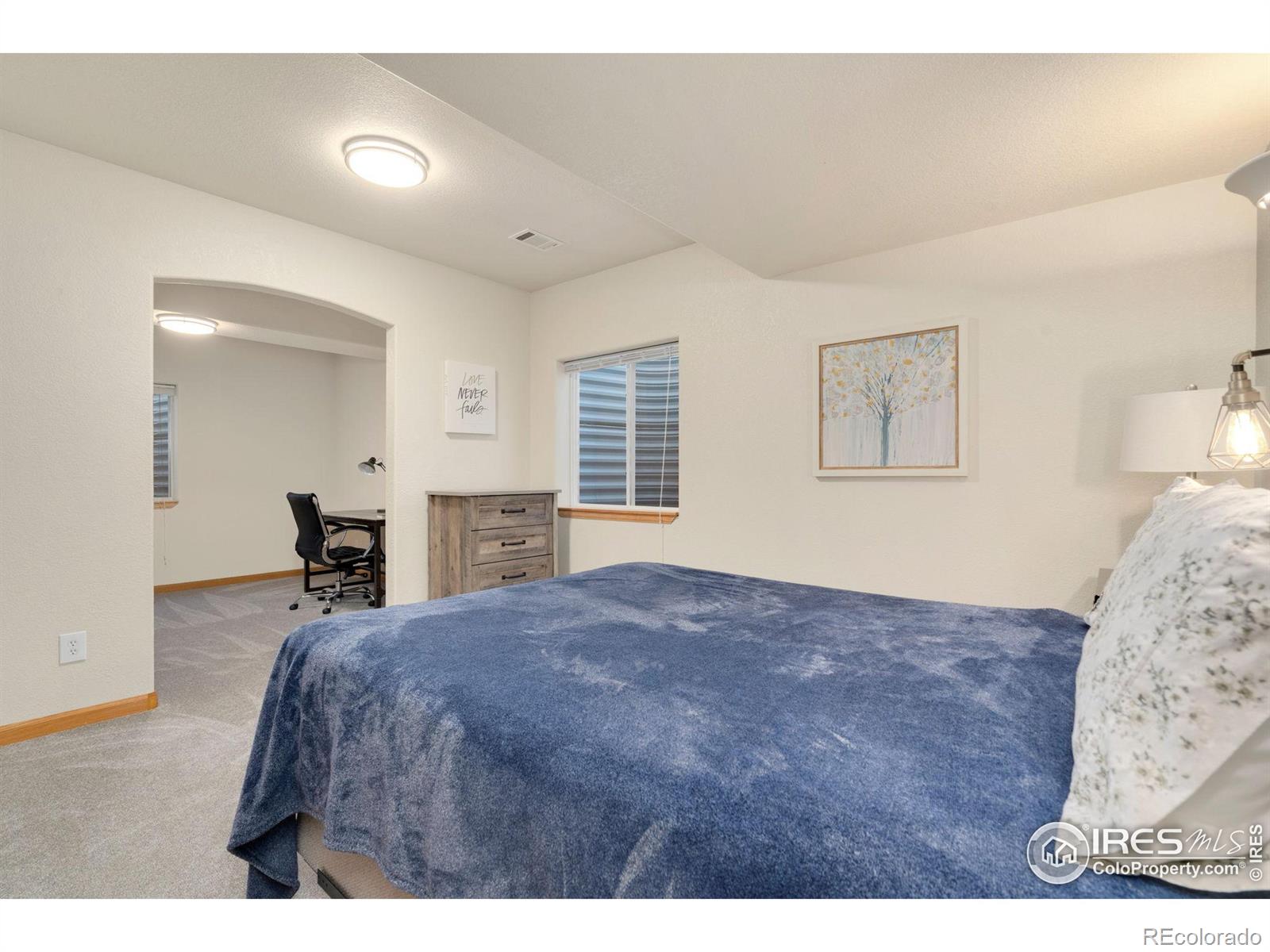 MLS Image #30 for 4833  haystack drive,windsor, Colorado