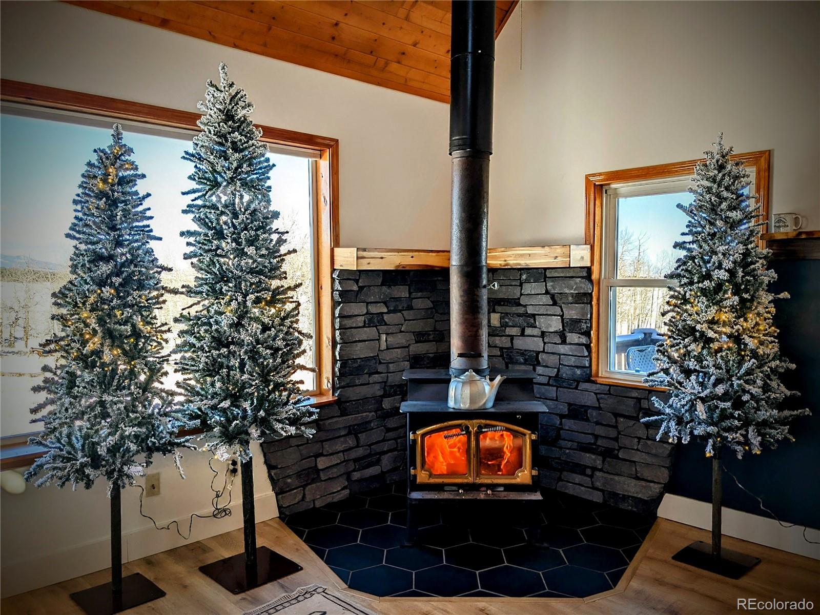MLS Image #35 for 3953  ranch road,hartsel, Colorado