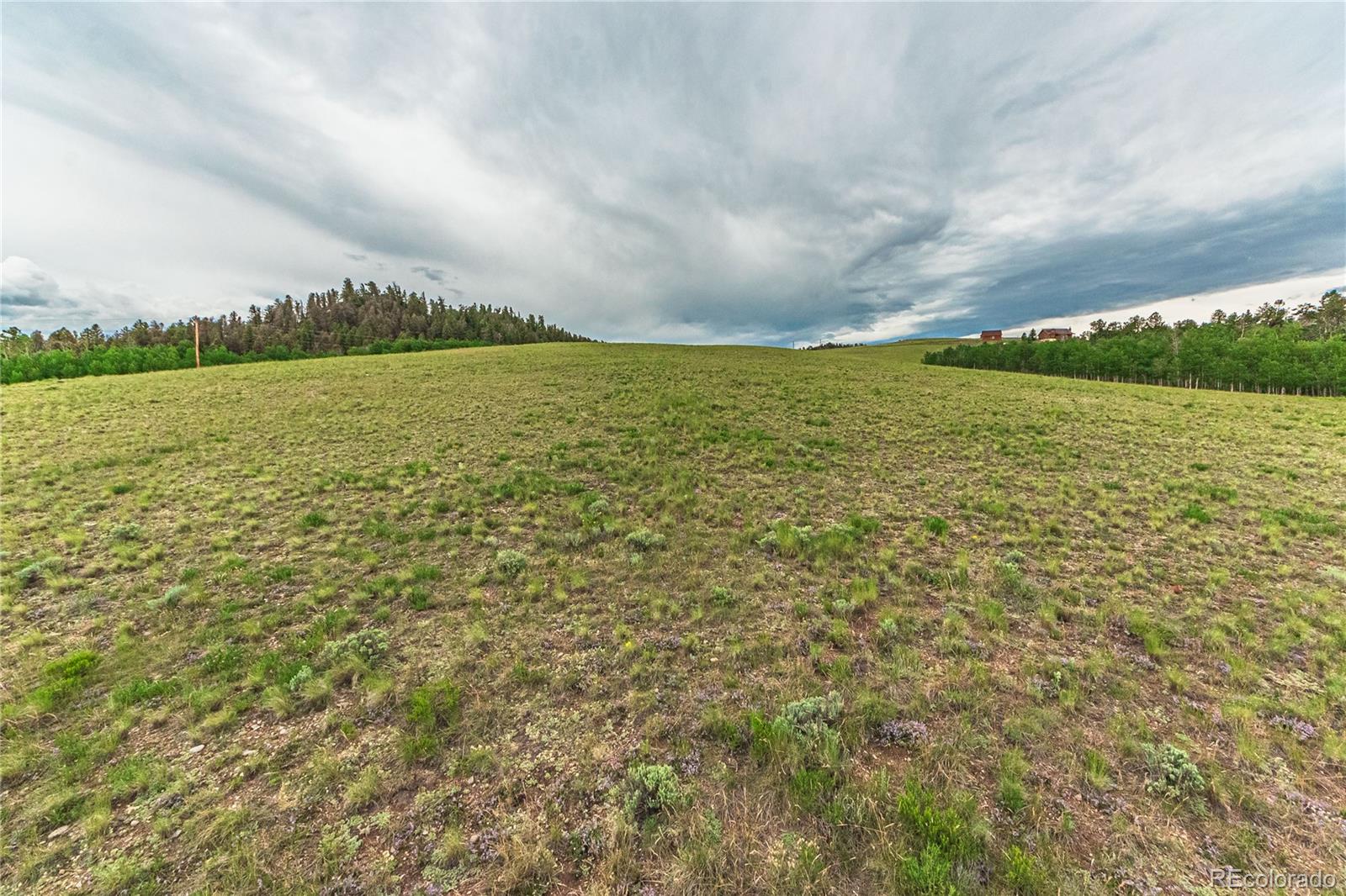 MLS Image #41 for 3953  ranch road,hartsel, Colorado