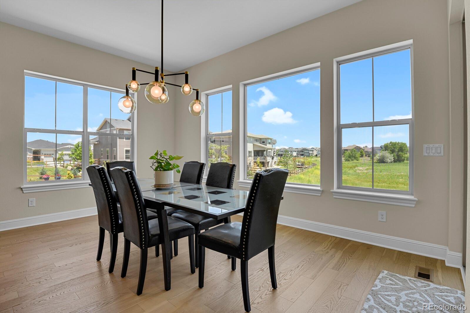 MLS Image #18 for 1163  limestone drive,erie, Colorado
