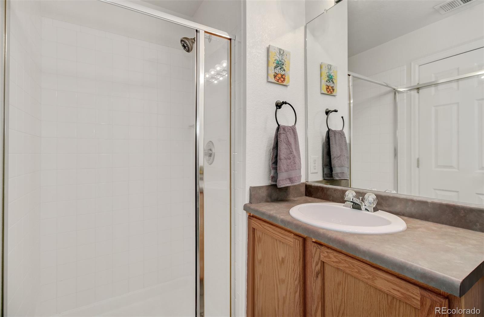 MLS Image #23 for 1496  red cliff way ,castle rock, Colorado