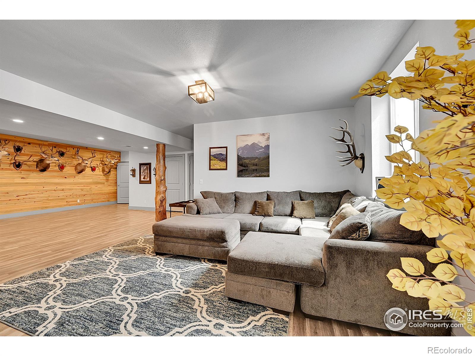 MLS Image #25 for 40775  jade drive,ault, Colorado