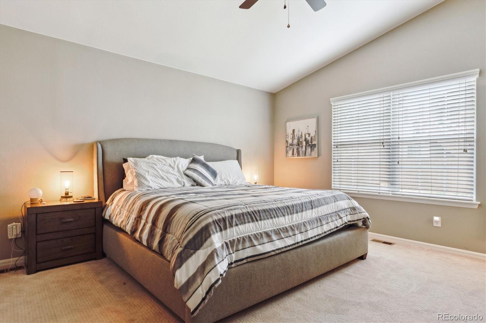 MLS Image #15 for 3469  amber sun circle,castle rock, Colorado