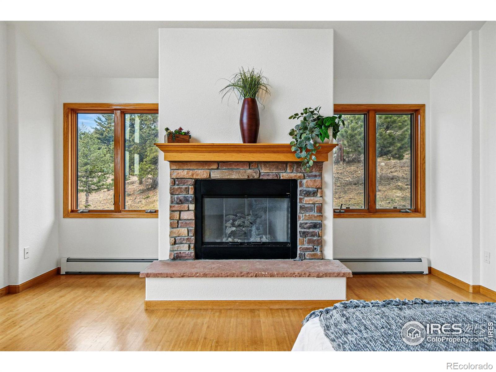 MLS Image #19 for 8566  flagstaff road,boulder, Colorado