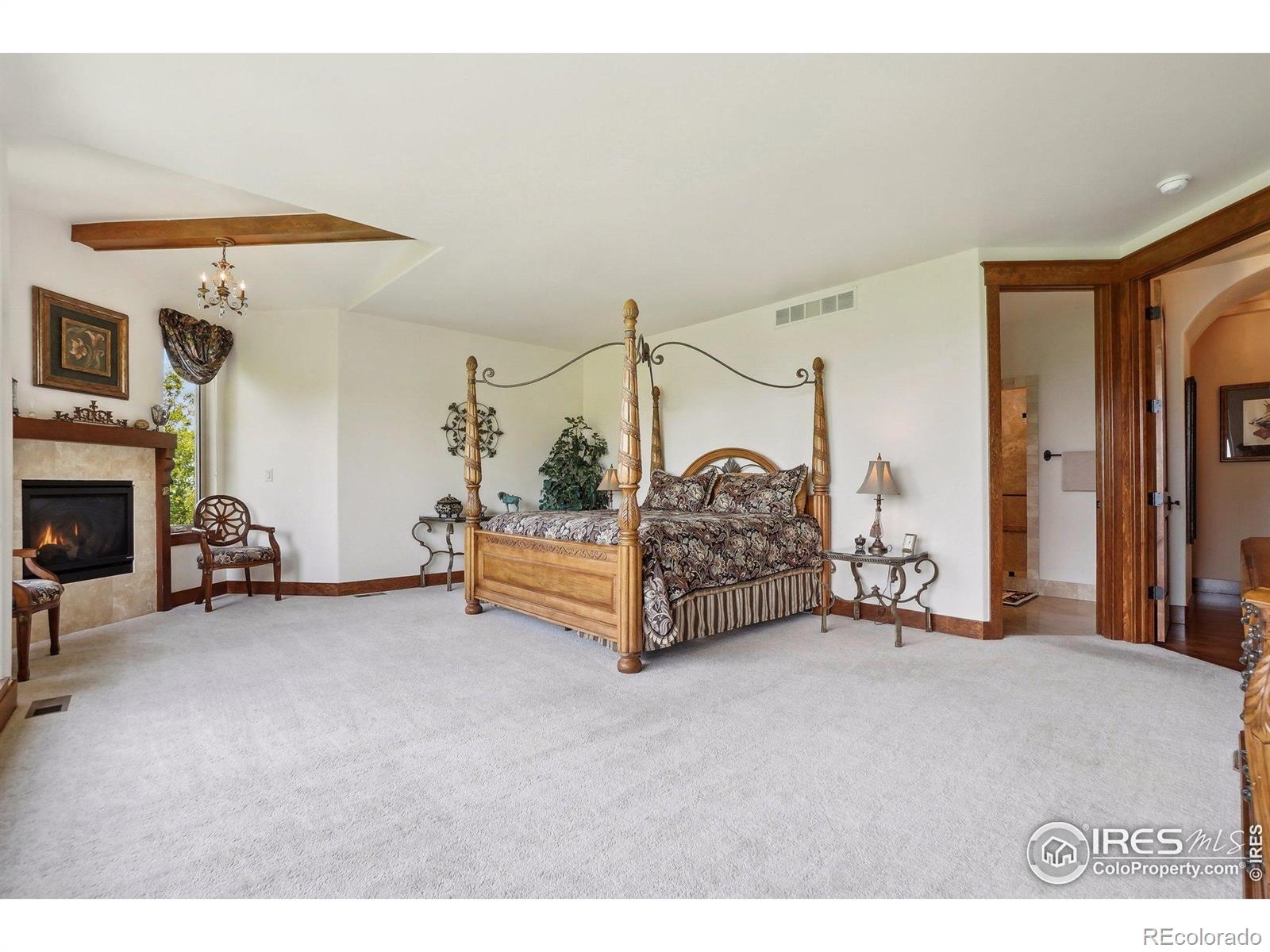 MLS Image #31 for 10113  thunder run,littleton, Colorado