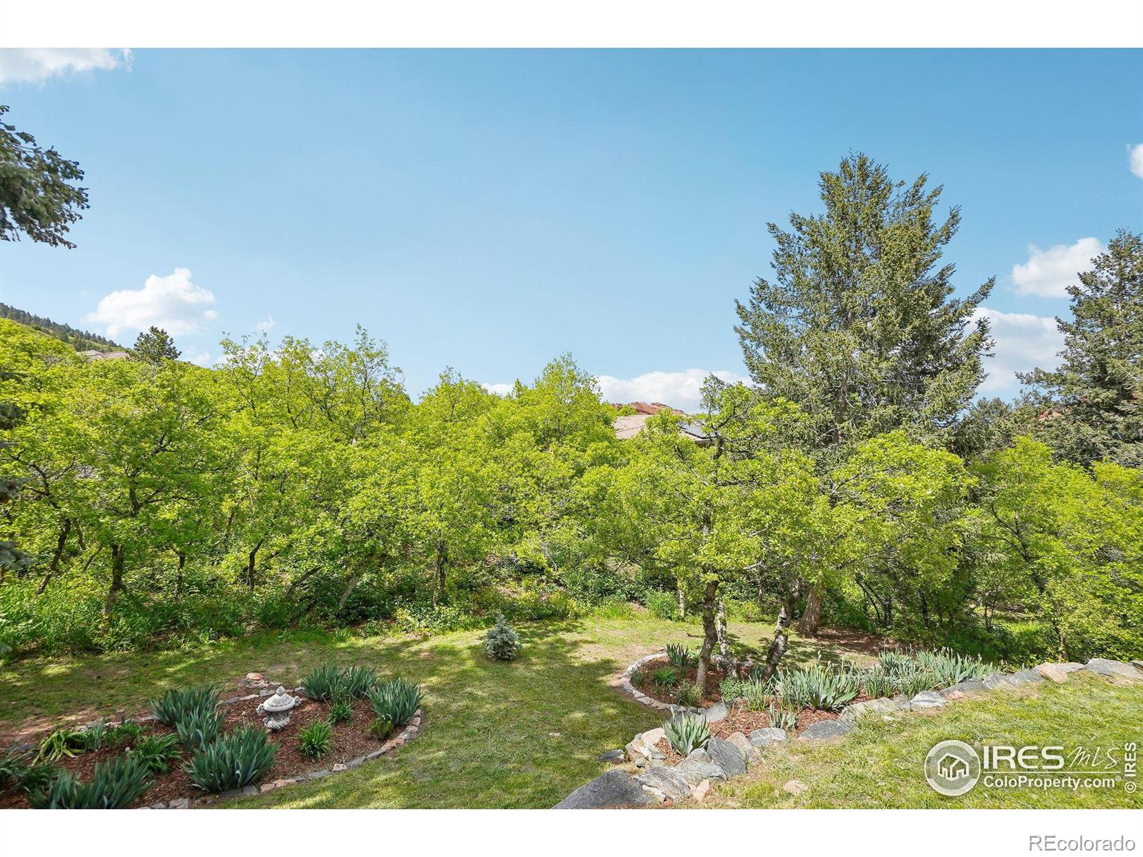 MLS Image #6 for 10113  thunder run,littleton, Colorado