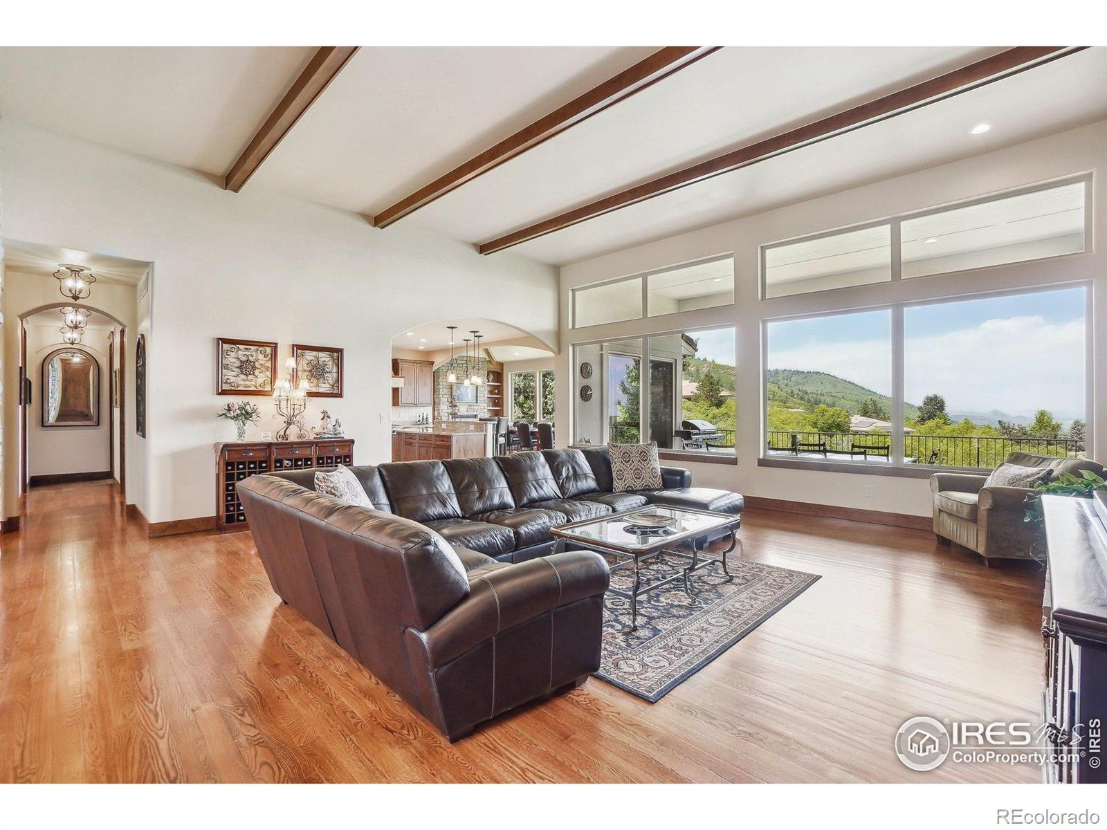 MLS Image #9 for 10113  thunder run,littleton, Colorado